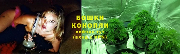 меф Нефтегорск
