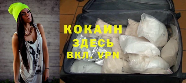 винт Абаза