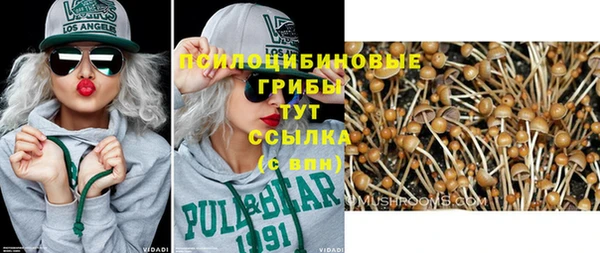 винт Абаза
