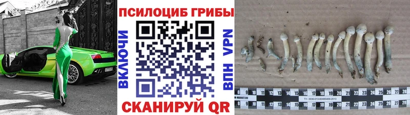 гидра как войти  наркотики  Сальск  Псилоцибиновые грибы ЛСД 