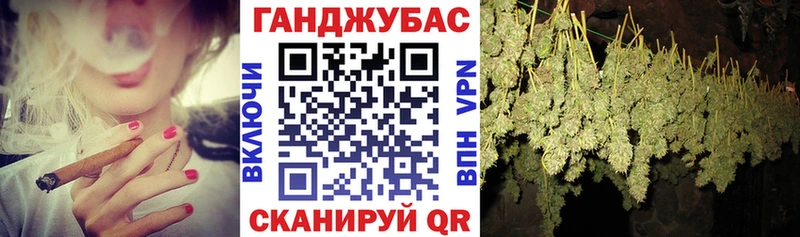 дарнет шоп  Сальск  Бошки марихуана ГИДРОПОН 